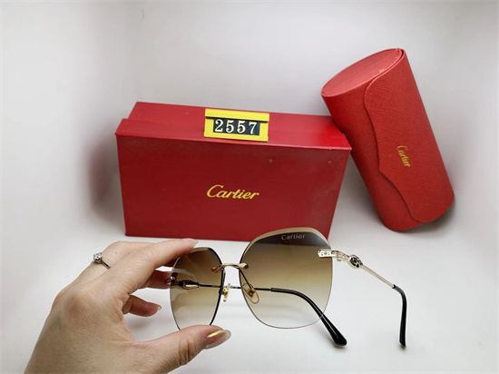 Cartier Sunglass A 027